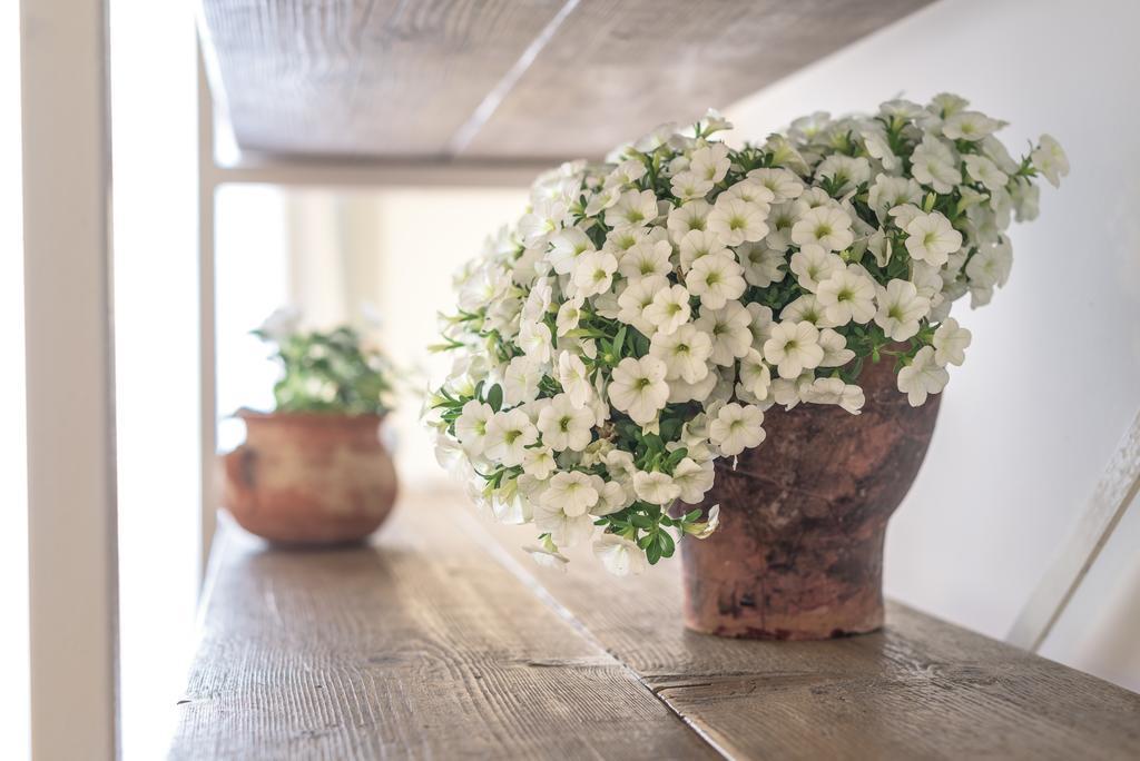Li Pappi Antico Casale Bed & Breakfast กาลาตีนา ภายนอก รูปภาพ